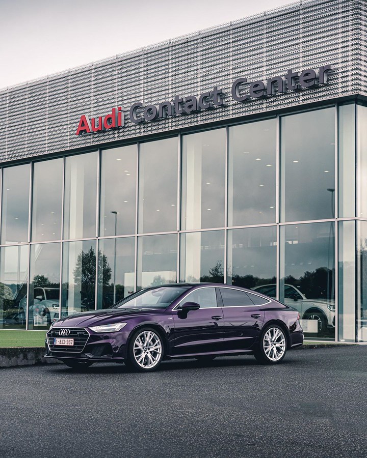 PURPLE  BEAUTY