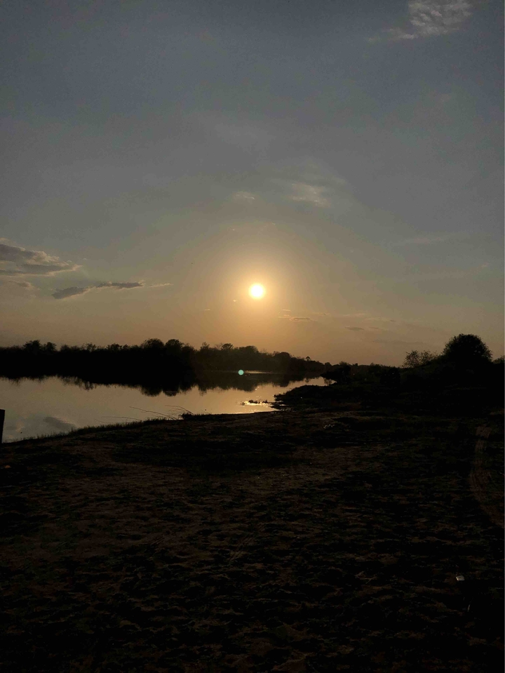 the sun