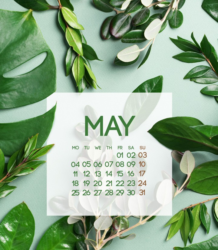 Calendar: 2020 May (1/2)