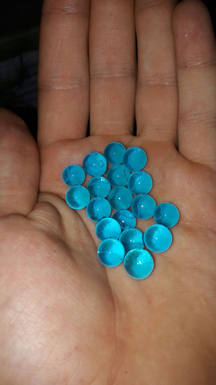 orbiz