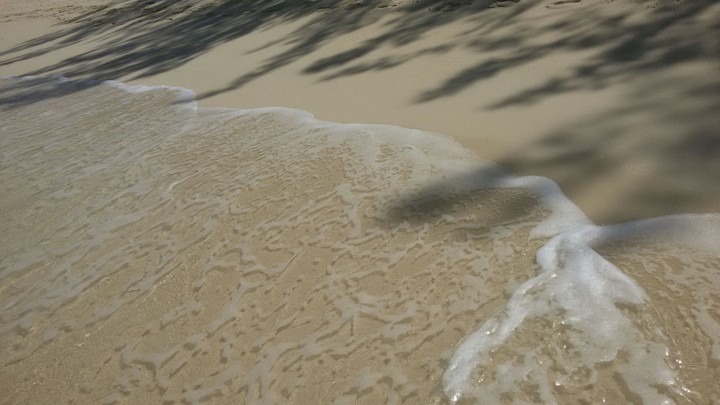 Caribbean