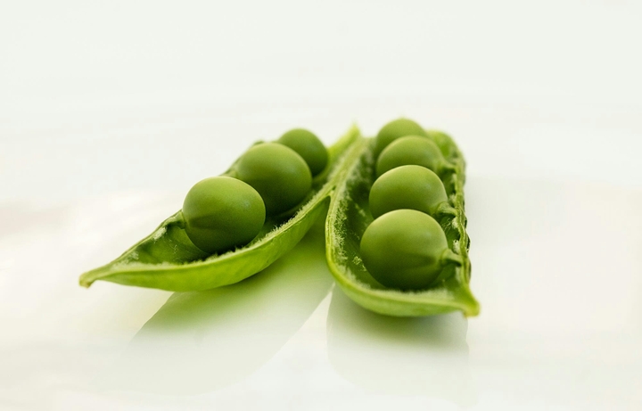 Bean