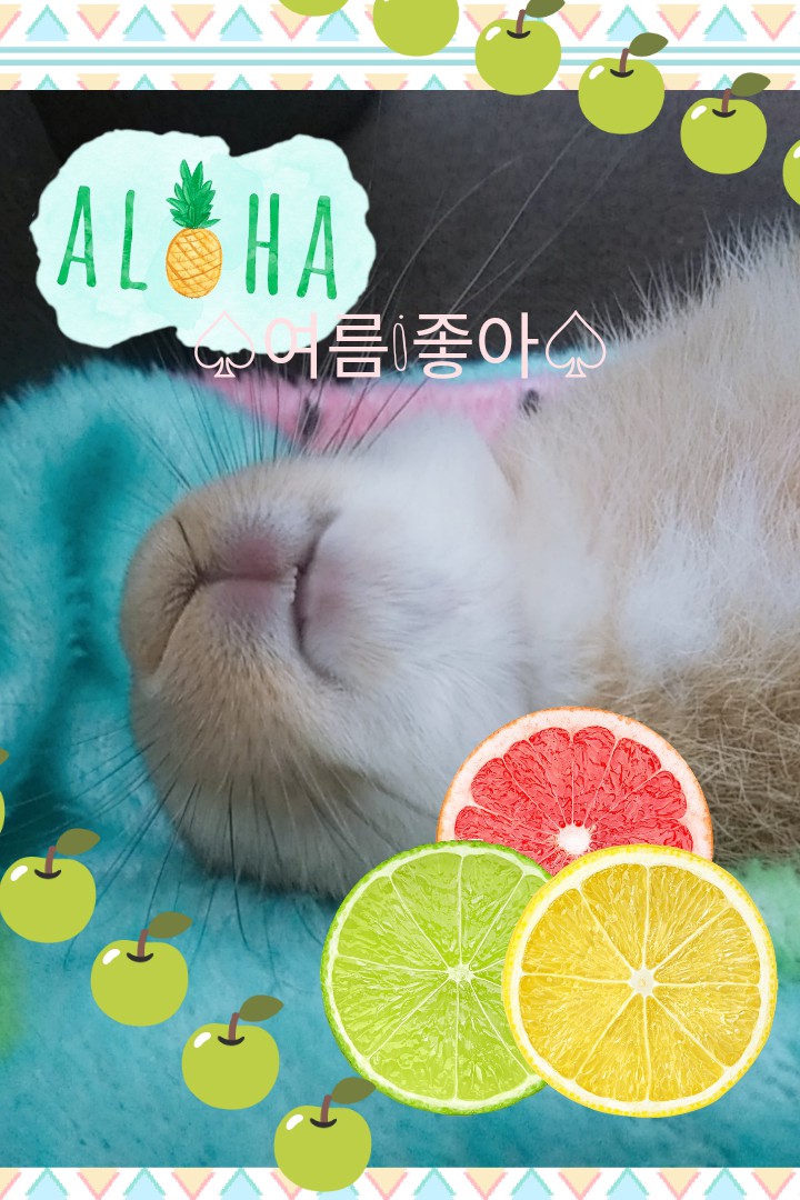 여름♡