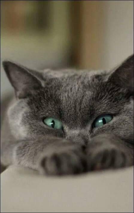 ❤