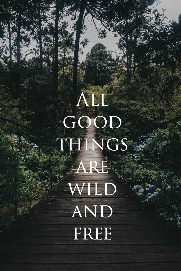 Nature