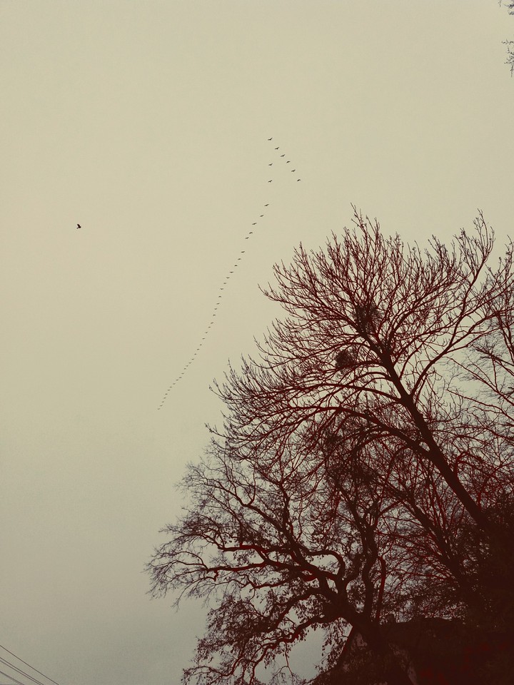 sky