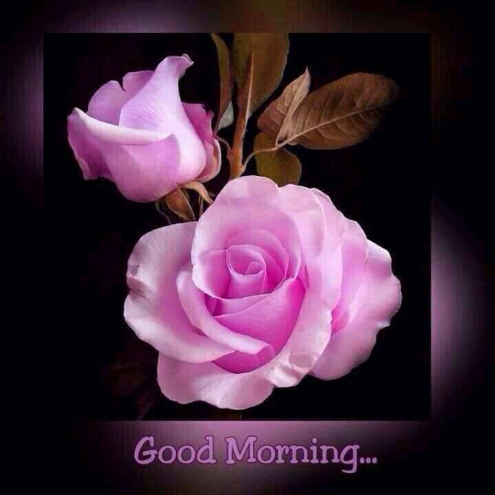 good morning
