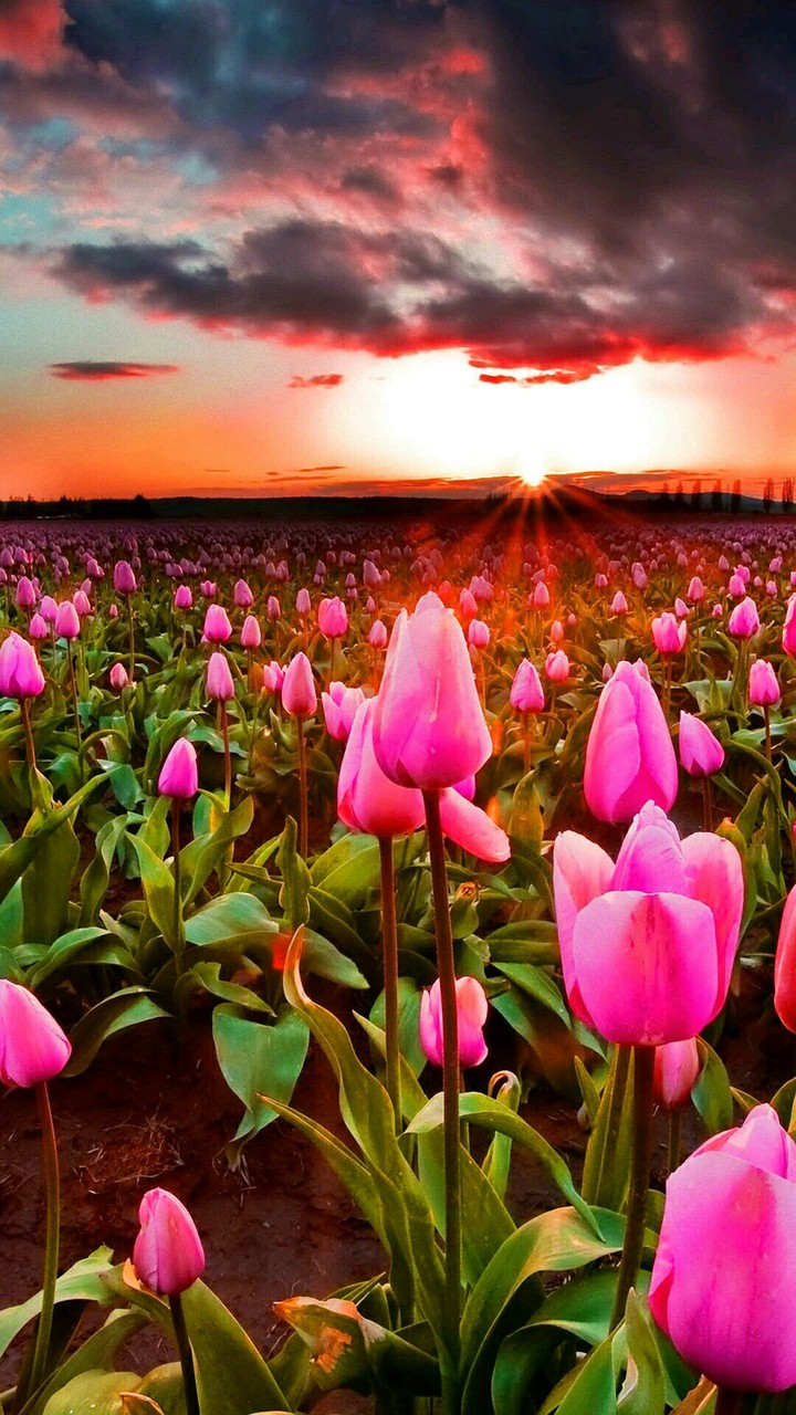 Sunset...It's so beautiful...