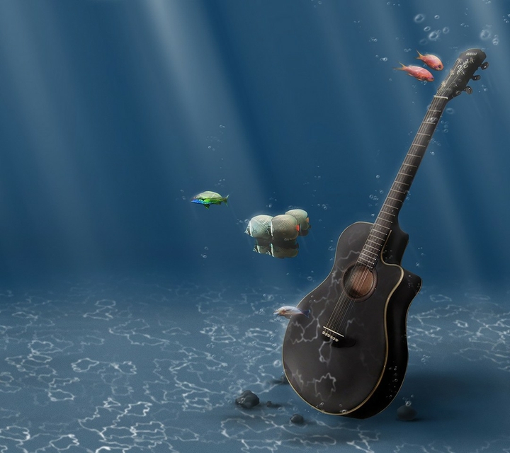 Guitar