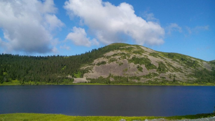 Bald hill