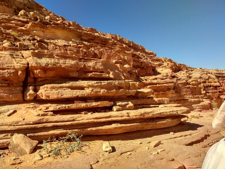 Desert