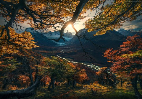 Amazing photo