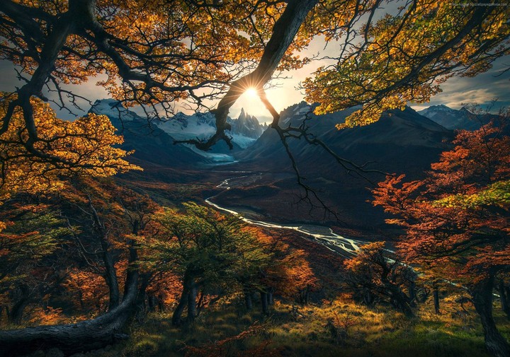 Amazing photo