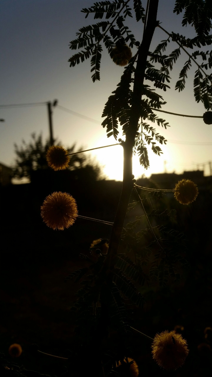 waiting a new day