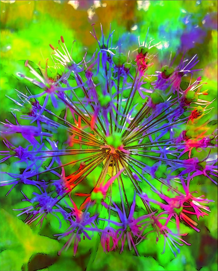Fabulous flower