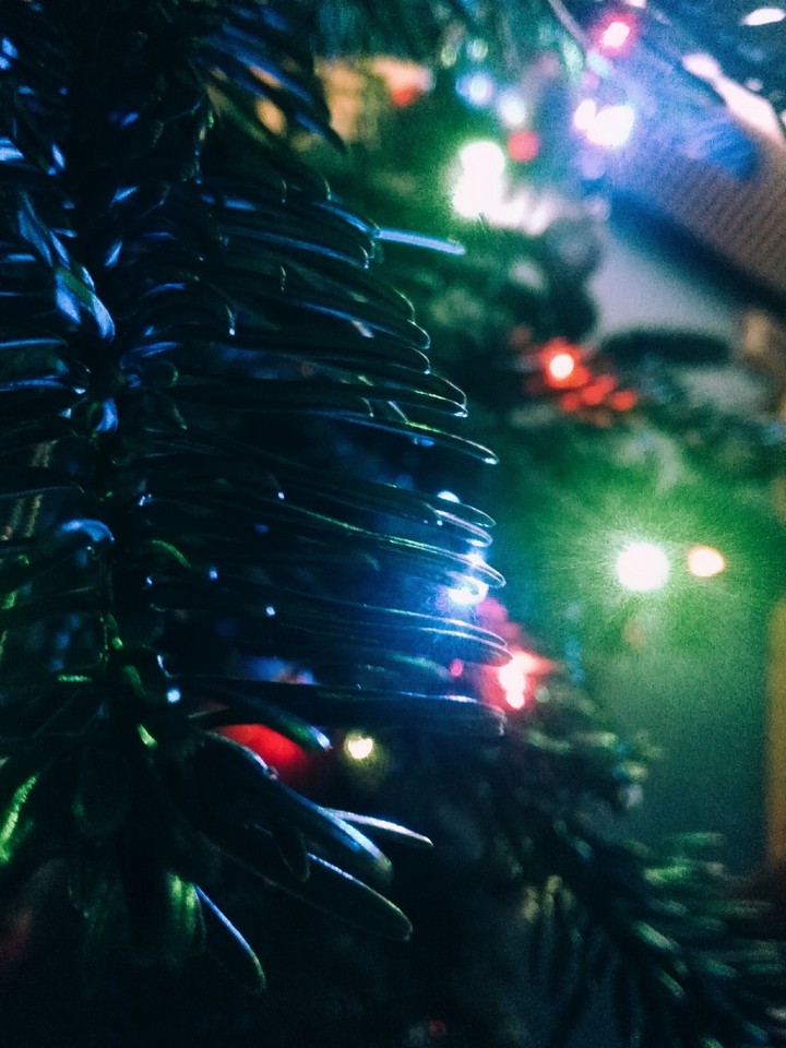 Christmas Tree