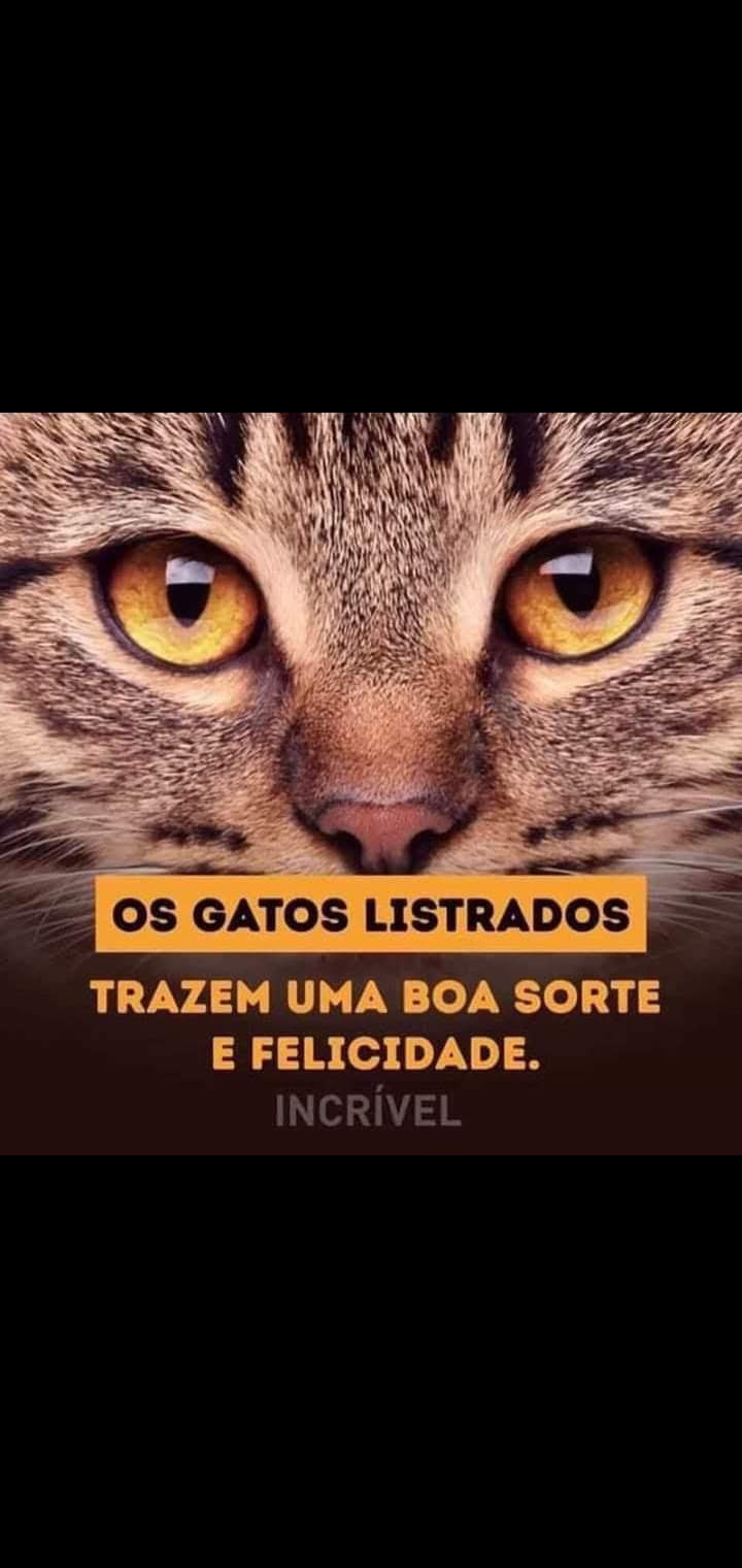amo