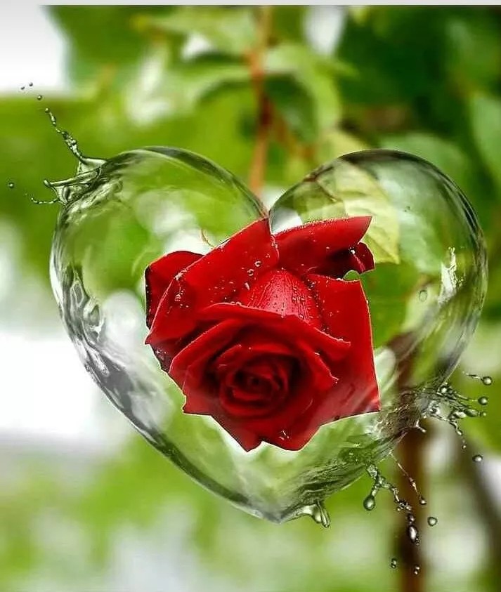 Bloody flowers