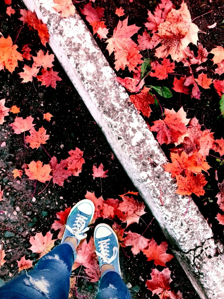 Autumn