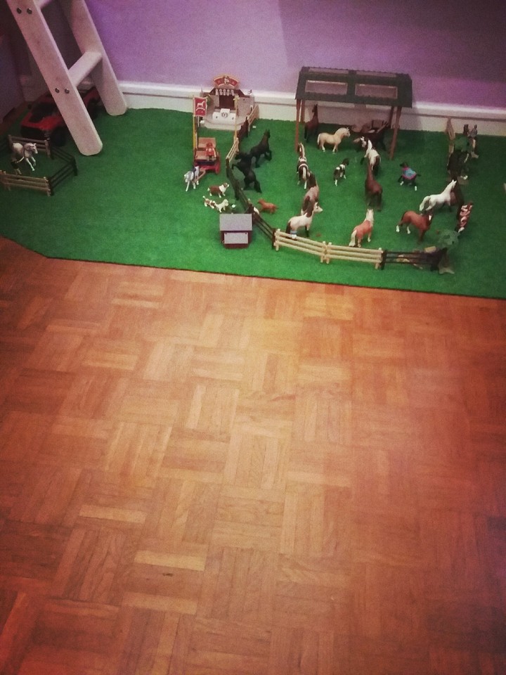 coc  76