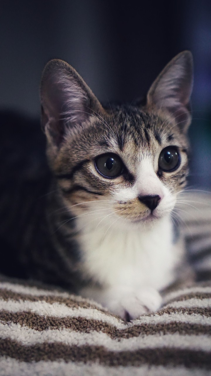 HEY THERE!