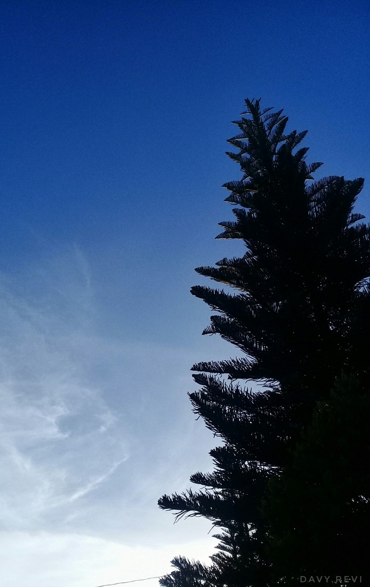 Bright Afternoon