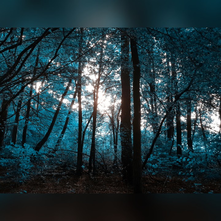 Nature is not everyday green
