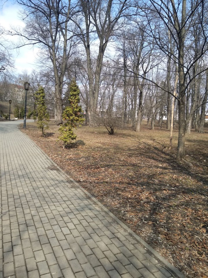 В парке