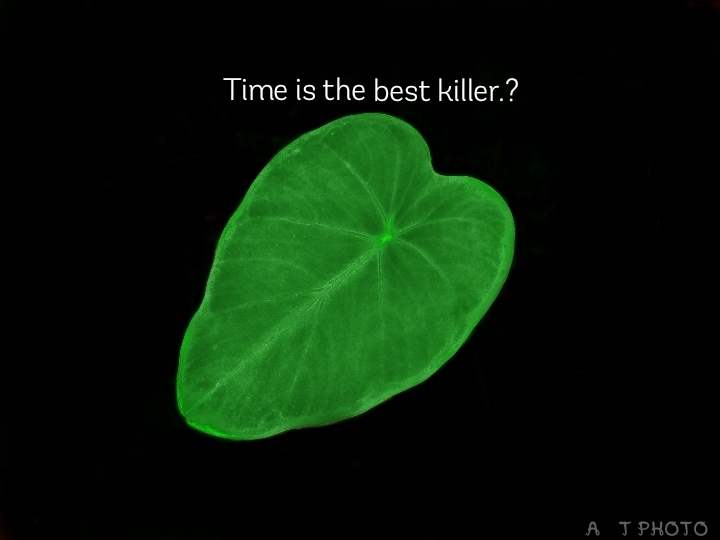 ☘
