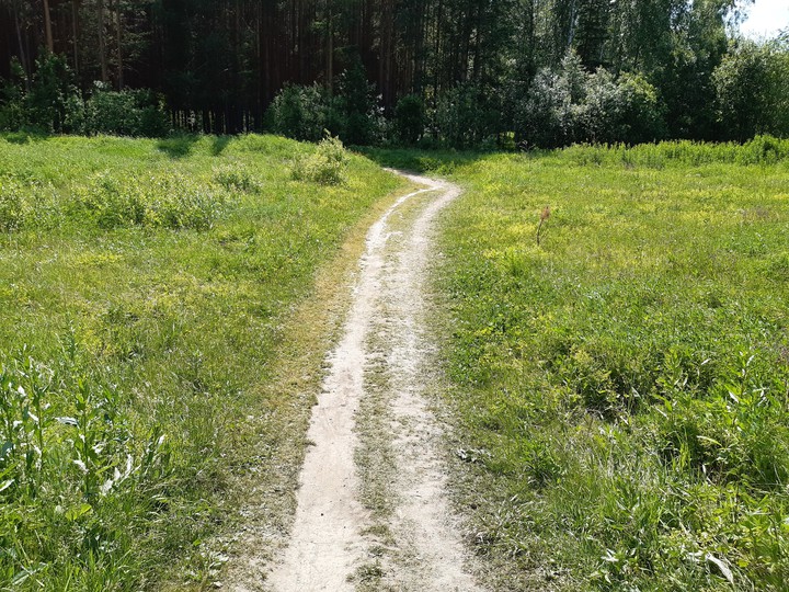 nature