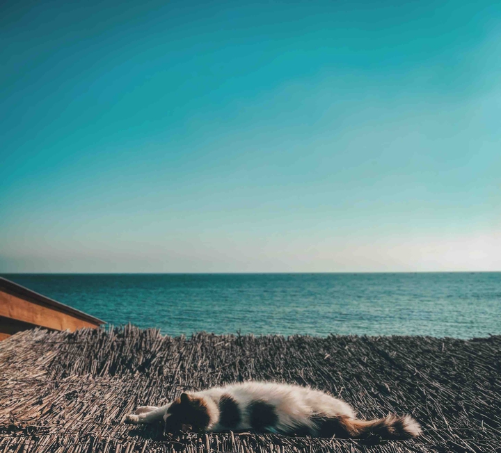 sea