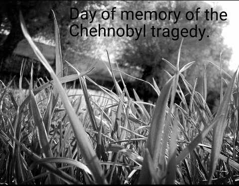 Day of memory of the Chernobyl tragedy