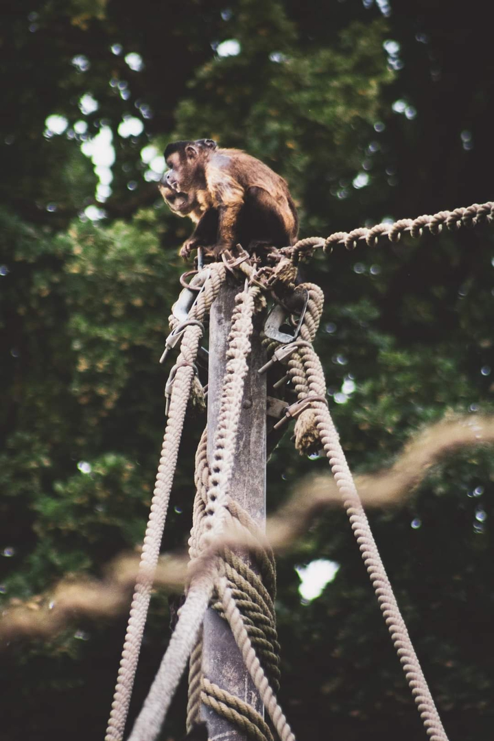 ZOO ZAGREB