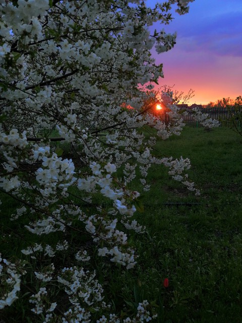 That's finally spring