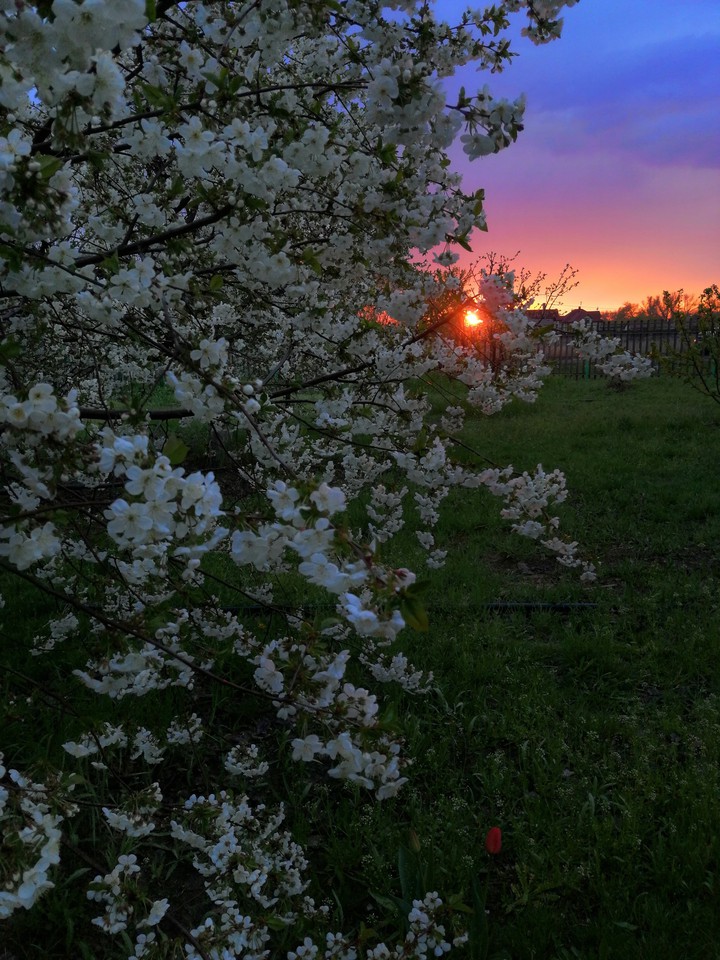 That's finally spring