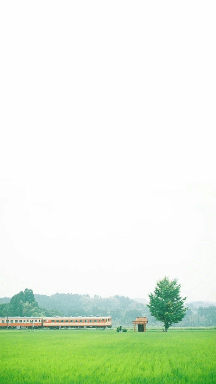 Free 