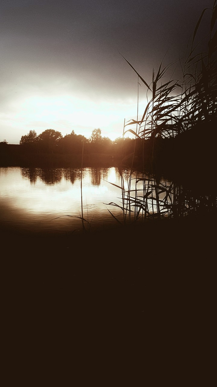 Staw