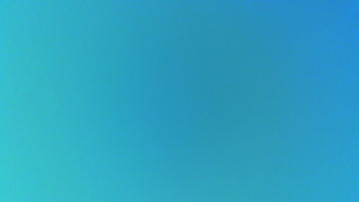 바전
