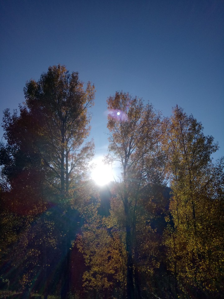 sunshine