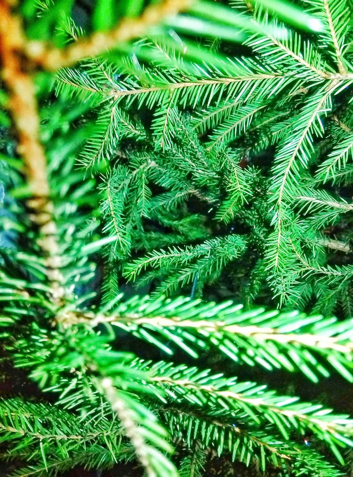 Christmas tree