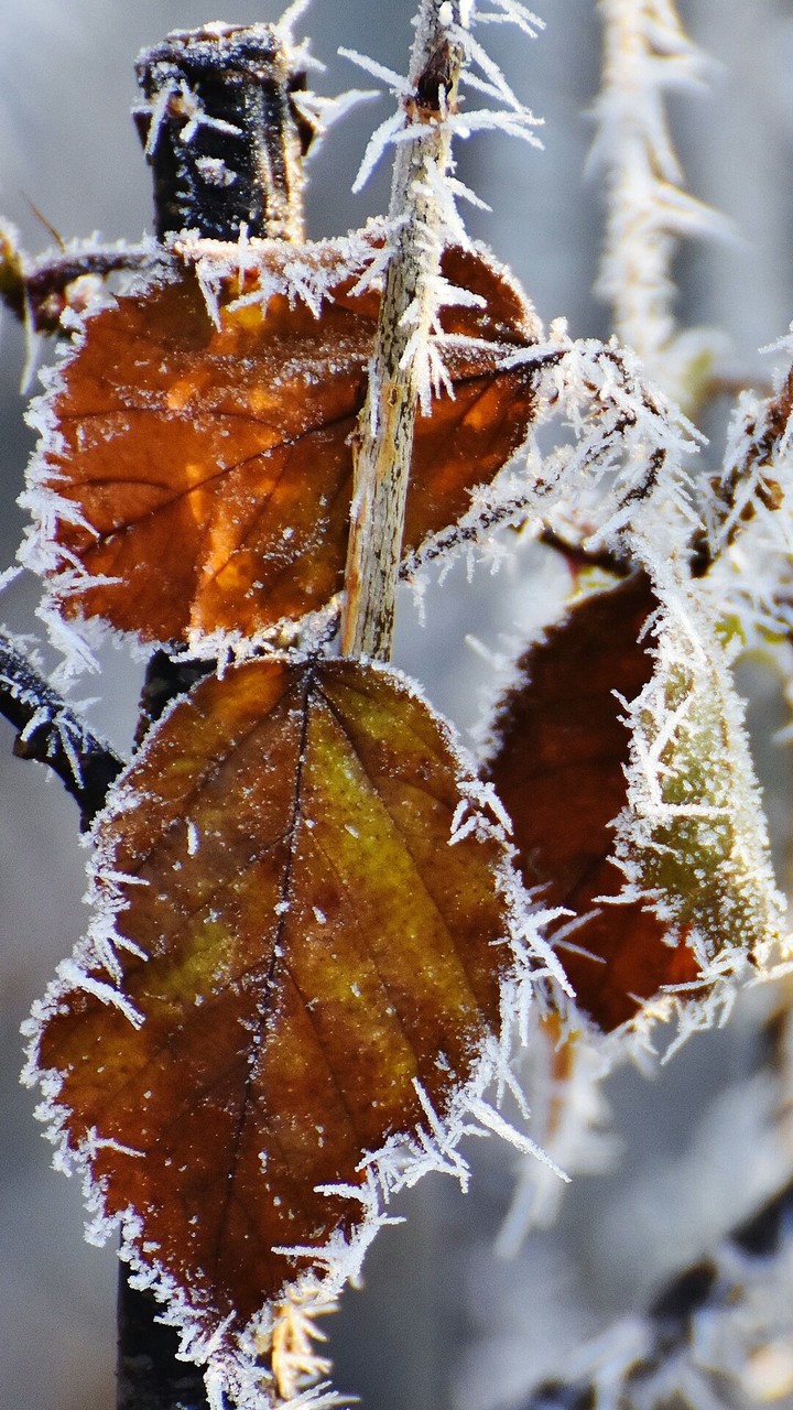 winter