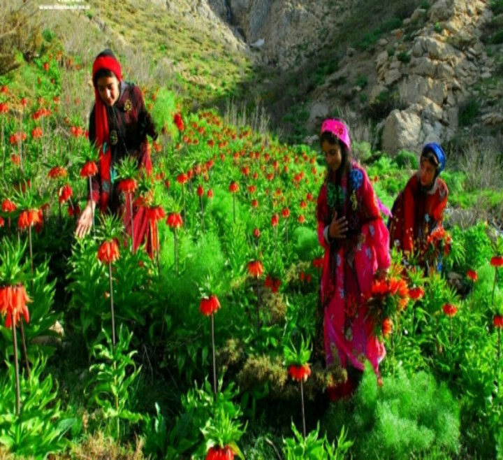 Kurdistan