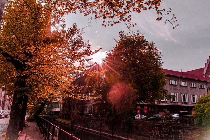 bye, sun