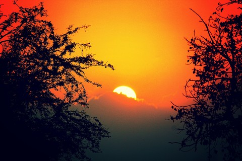 sunset