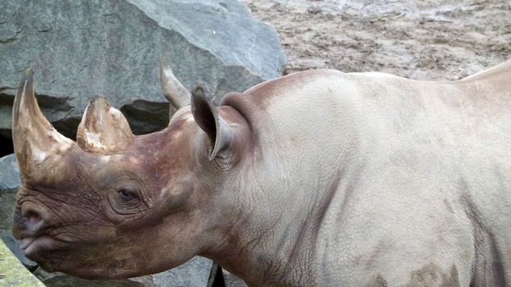 Zoo Leipzig 2011