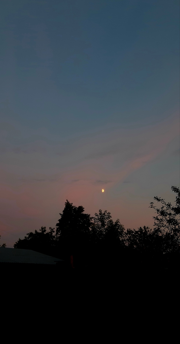 To the moon