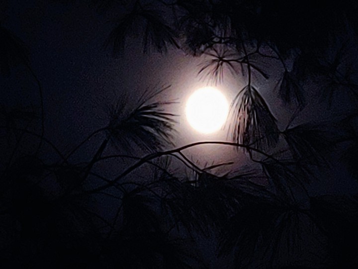 5 am. Glowing moon