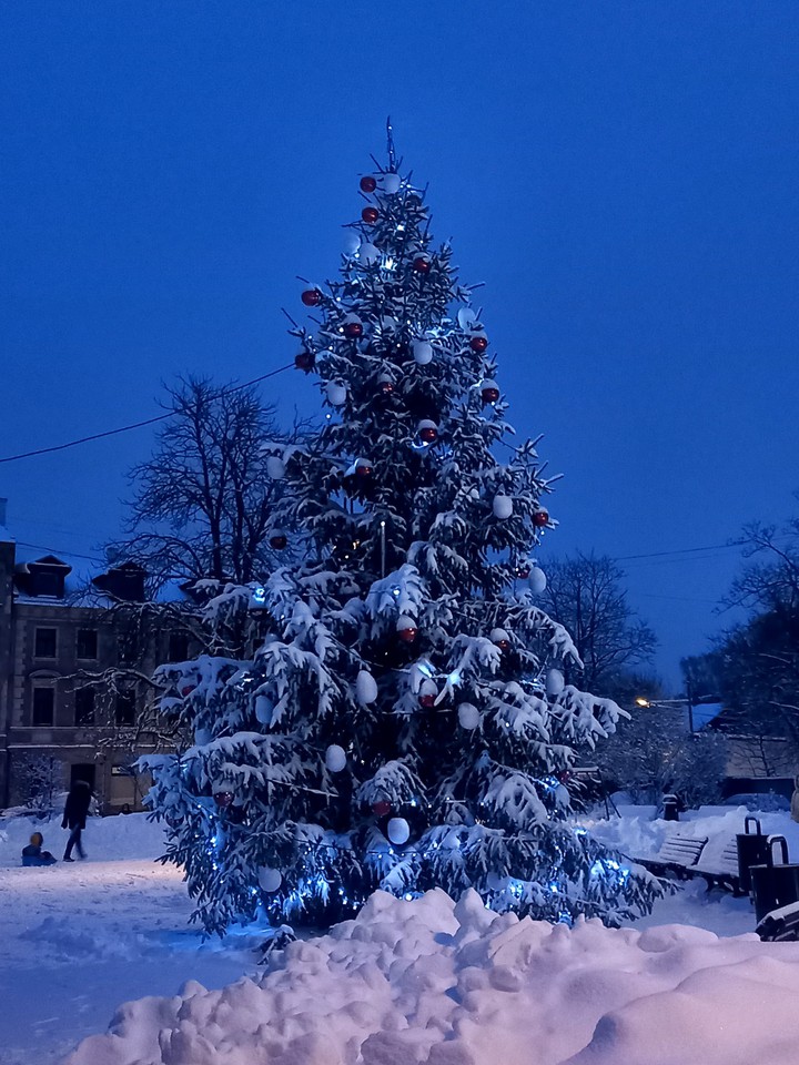 christmas tree