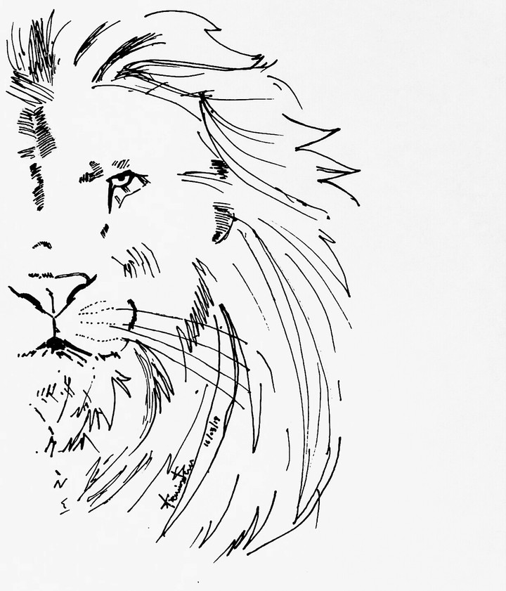 lion art