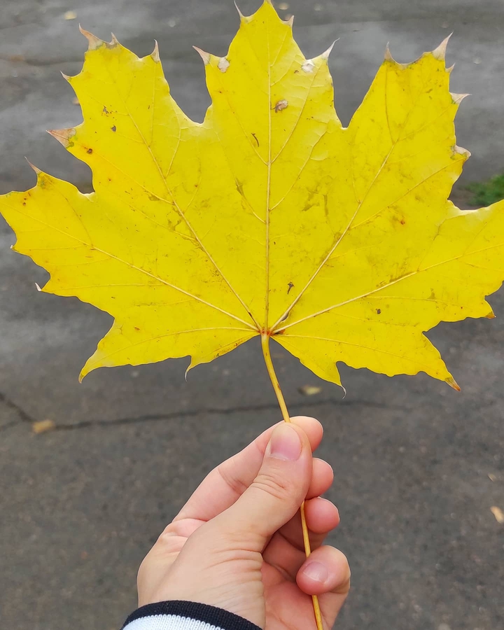 October